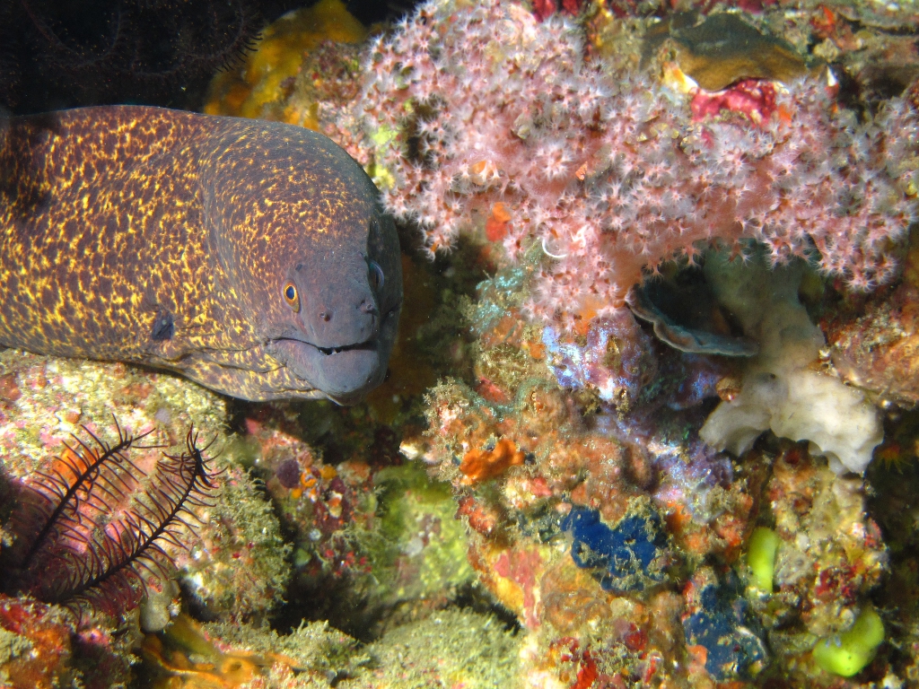 IMG_6699 (1) IMG_6699 (1)